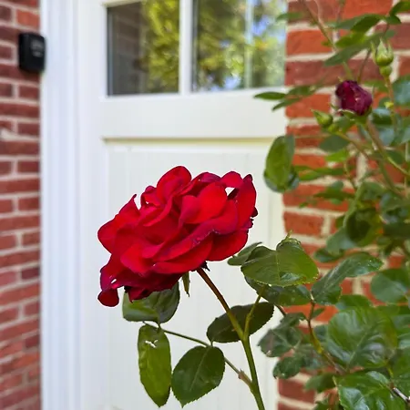 Tetenbuellerbue - Immer Schulfrei! Appartamento Tetenbull